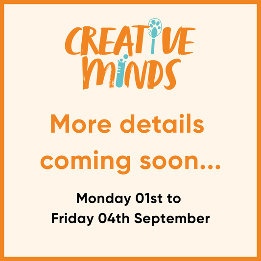 Creative Minds Camp - Summer - Week 7: Monday 01st to Friday 04th September