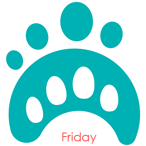 Little Leopard Ad Hoc Session - Friday 03rd July