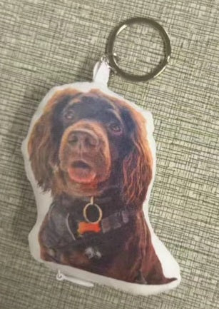 Key ring
